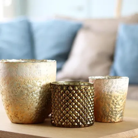 Penthouse Vi 科克赛德